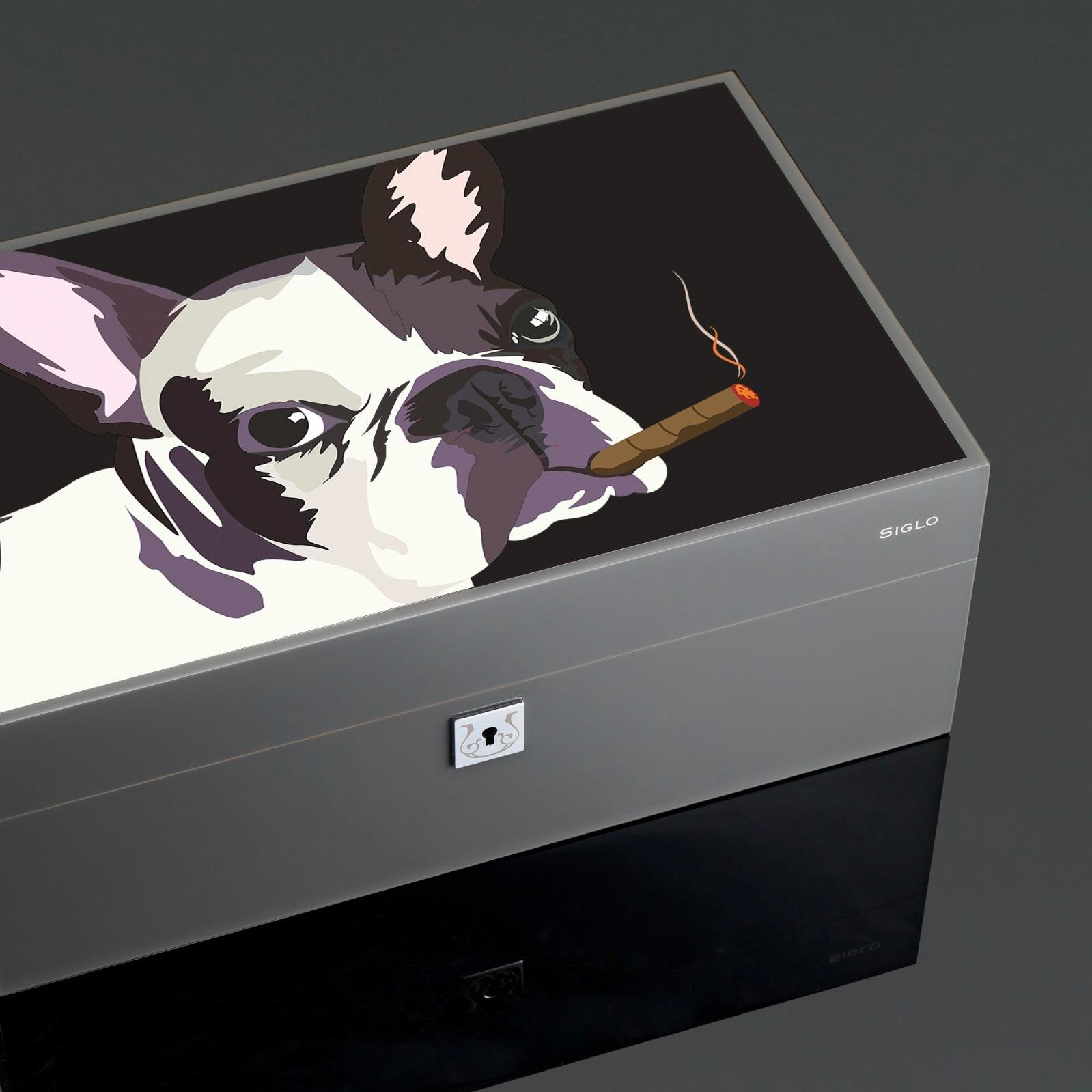 Dog In Black Humidor